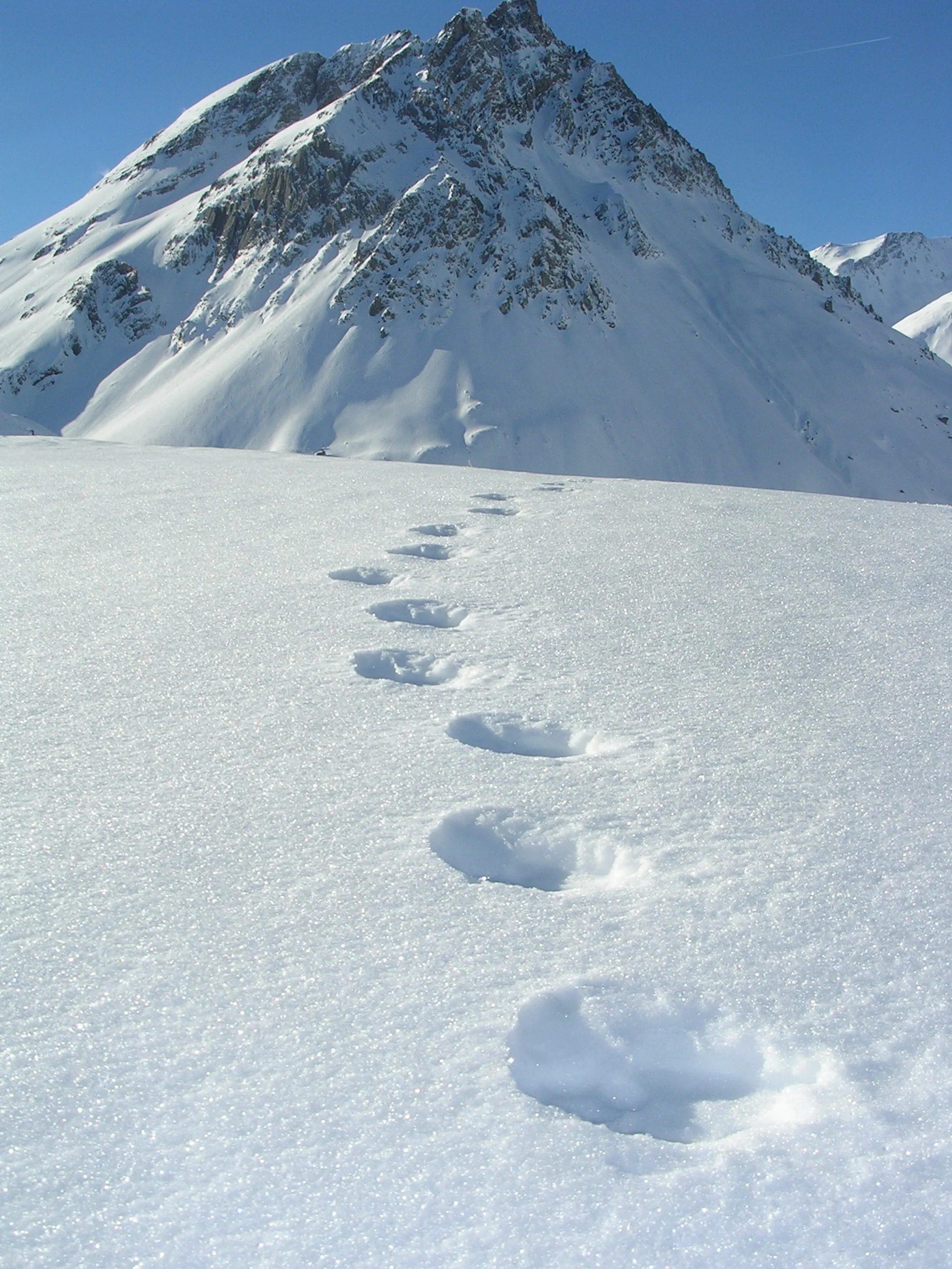 Prélude hivernal